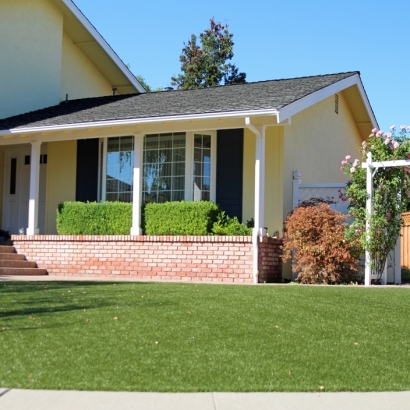 Synthetic Lawn Las Lomas, California Landscape Design, Front Yard