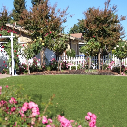 Synthetic Lawn North Richmond, California Roof Top, Small Front Yard Landscaping