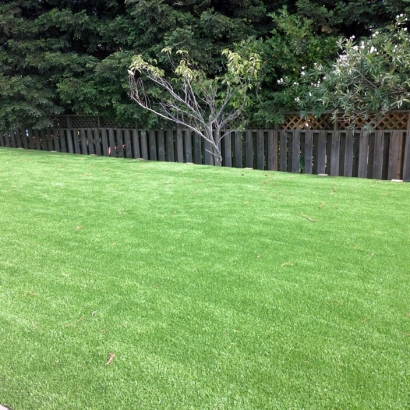 Synthetic Lawn Riverdale, California Landscaping Business, Backyard Garden Ideas