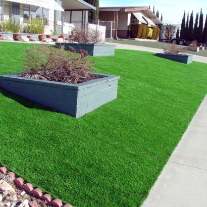 Synthetic Lawn San Martin, California Landscape Ideas, Front Yard Design