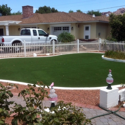 Synthetic Lawn Vacaville, California Garden Ideas, Front Yard Ideas