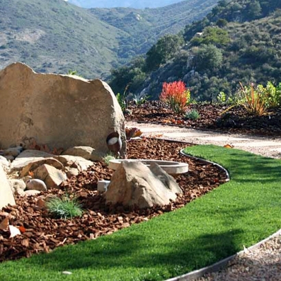 Synthetic Turf Opal Cliffs, California Landscape Design, Front Yard Landscaping