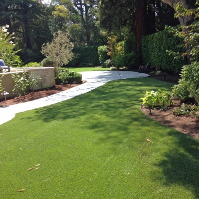 Synthetic Turf Scotts Valley, California Landscaping, Backyard Landscape Ideas