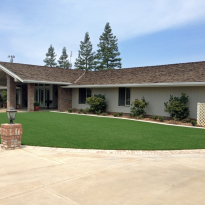 Synthetic Turf Supplier Ben Lomond, California Paver Patio, Small Front Yard Landscaping