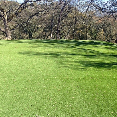 Synthetic Turf Supplier Pajaro, California Roof Top, Recreational Areas