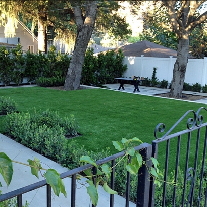 Turf Grass Boulder Creek, California Garden Ideas, Front Yard Landscape Ideas