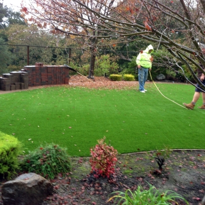 Turf Grass Piedmont, California Rooftop, Backyard Landscape Ideas