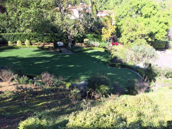 Artificial Grass Carpet Clearlake, California Landscape Ideas, Backyards