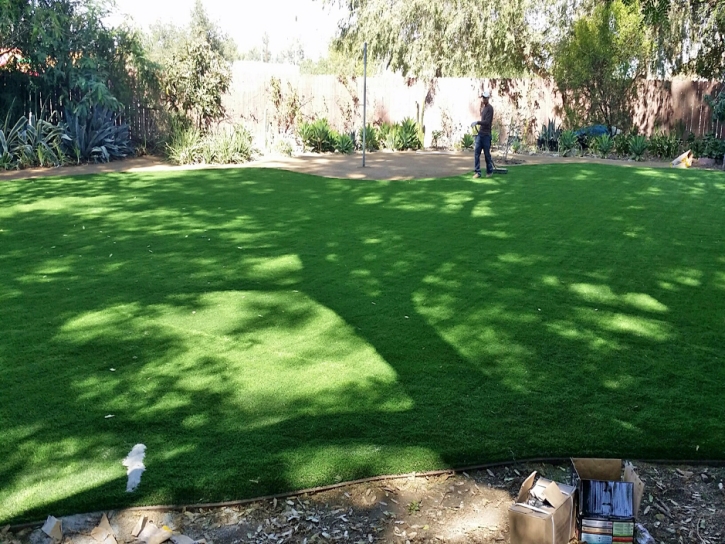 Artificial Grass Carpet Le Grand, California Landscape Design, Backyard Makeover