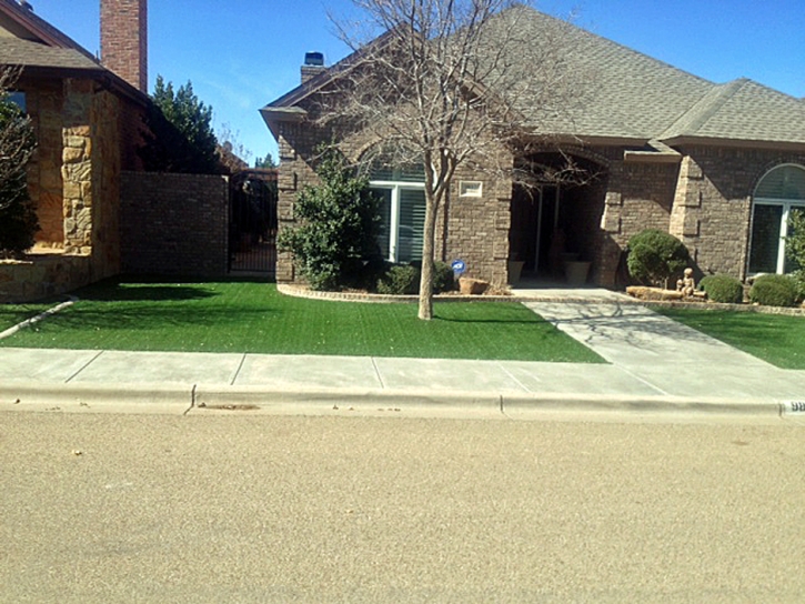 Artificial Grass Carpet Marin City, California Gardeners, Front Yard Ideas