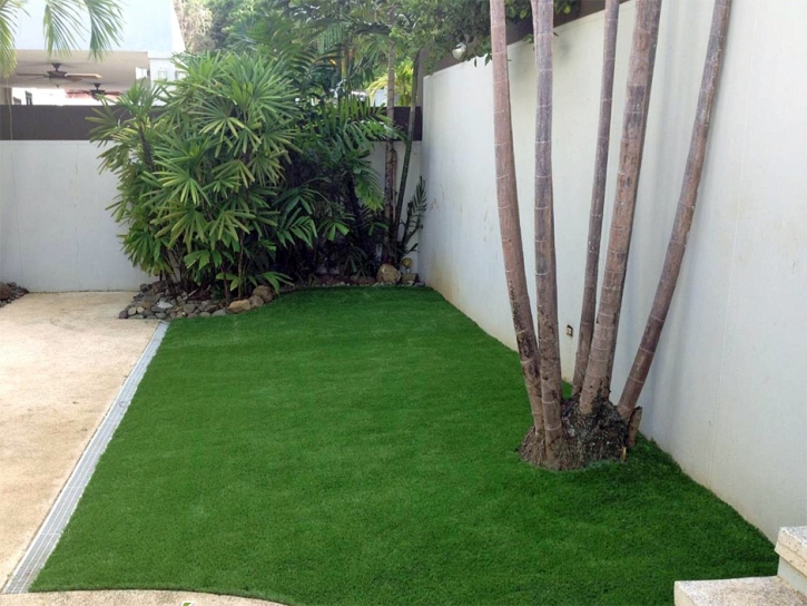 Artificial Grass Carpet Orland, California Landscaping Business, Backyard Landscaping