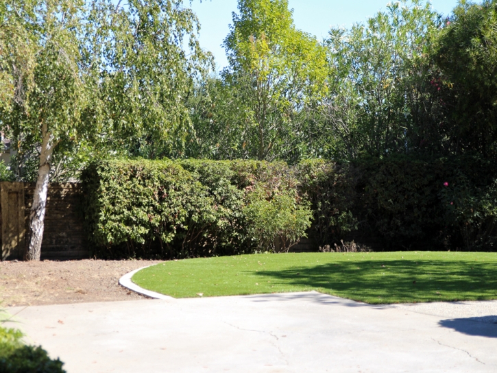 Artificial Grass Challenge-Brownsville, California Landscaping, Backyard Garden Ideas