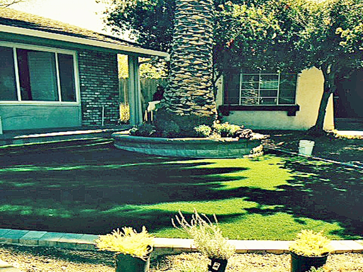 Artificial Grass El Dorado Hills, California City Landscape, Front Yard Landscaping