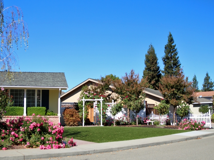 Artificial Grass Installation Easton, California Landscape Ideas, Front Yard Landscaping Ideas