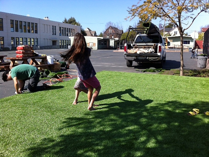 Artificial Grass Installation Gilroy, California Lawn And Landscape, Commercial Landscape