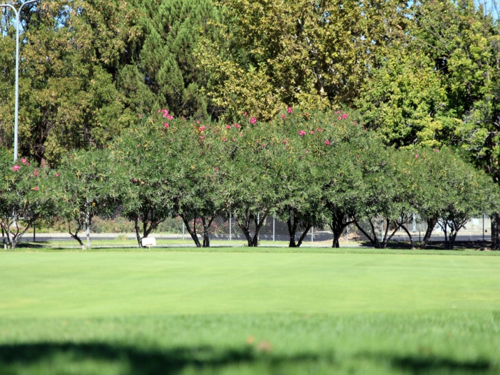 Artificial Grass Installation Thermalito, California Landscape Design