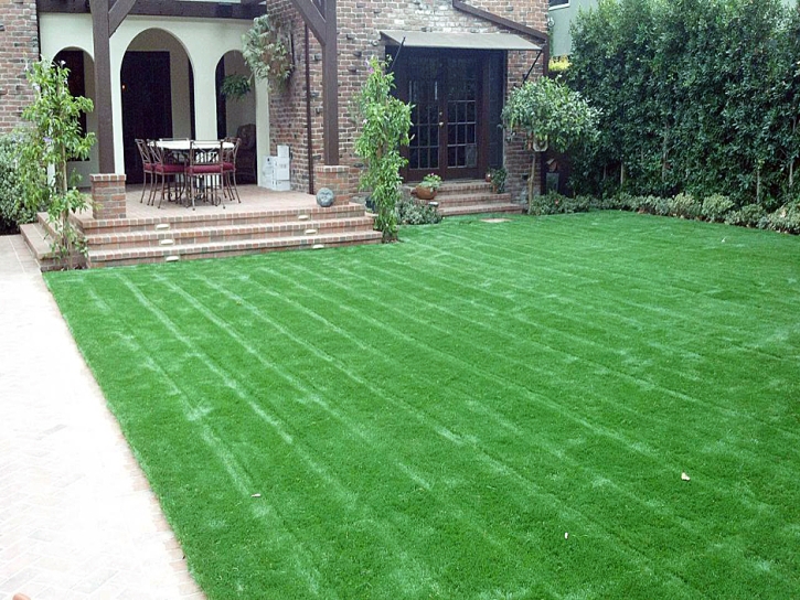 Artificial Grass Live Oak, California Landscape Design, Small Front Yard Landscaping