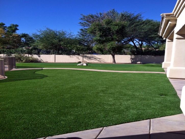 Artificial Lawn Buena Vista, California Landscaping Business, Front Yard Landscape Ideas