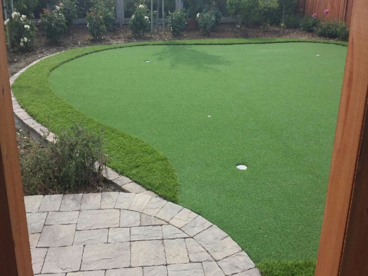 Artificial Lawn Colma, California Roof Top, Backyard Garden Ideas