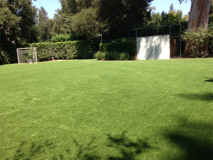 Artificial Lawn Del Rey, California Softball, Backyard Designs