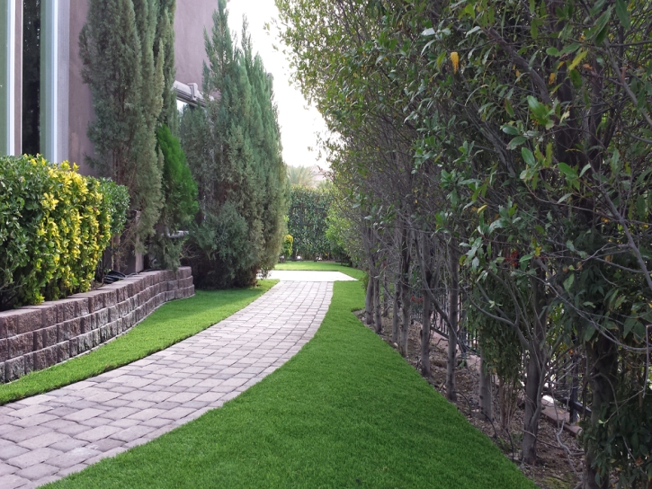 Artificial Lawn Empire, California Roof Top, Front Yard Landscape Ideas