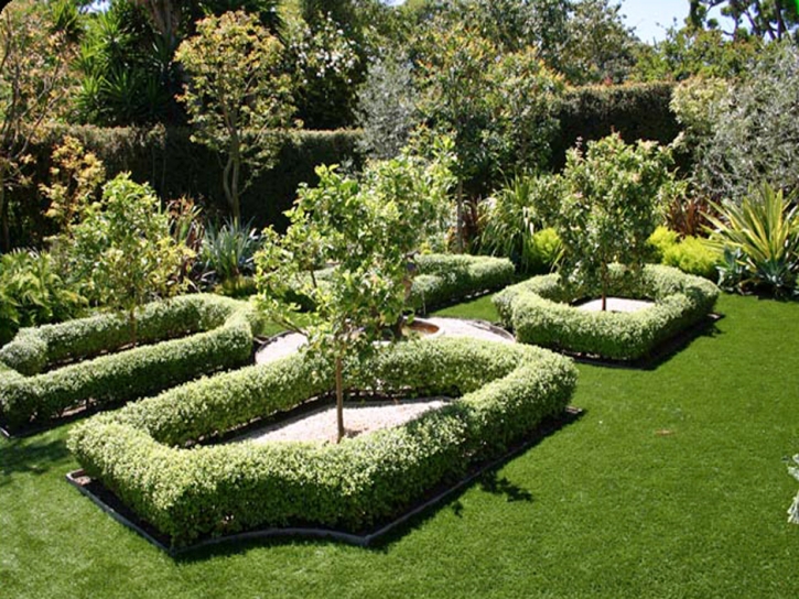 Artificial Lawn Georgetown, California Home And Garden