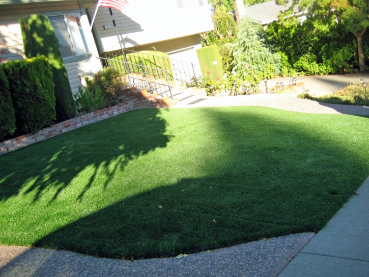 Artificial Lawn Hanford, California Gardeners, Front Yard Landscaping