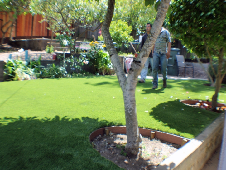 Artificial Lawn Hughson, California Landscaping Business, Beautiful Backyards