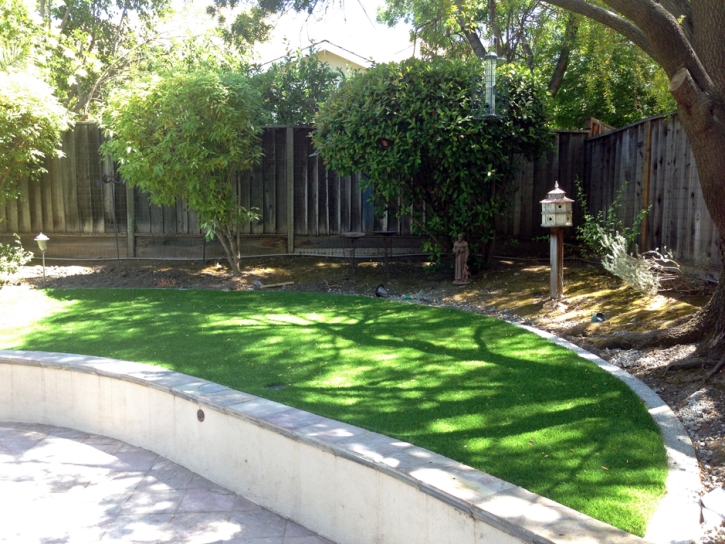 Artificial Lawn Kensington, California City Landscape, Commercial Landscape