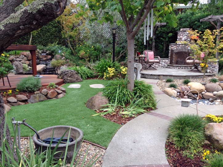 Artificial Lawn Redwood City, California Gardeners, Backyard Landscaping