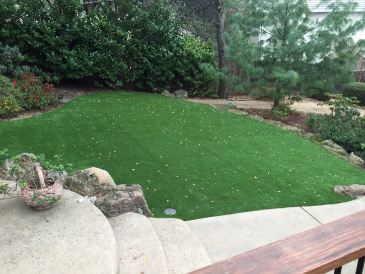 Artificial Lawn San Juan Bautista, California Home And Garden, Backyard Design