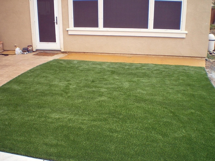 Artificial Lawn Yountville, California Design Ideas, Backyard Landscape Ideas