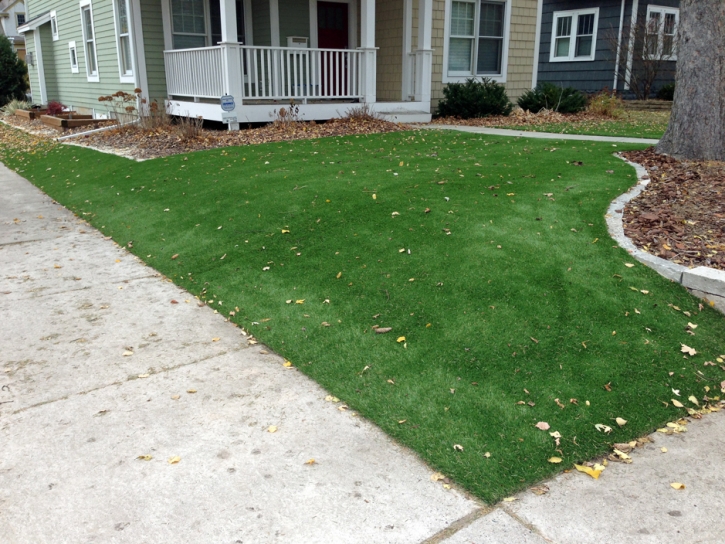 Artificial Turf Alameda, California City Landscape, Small Front Yard Landscaping