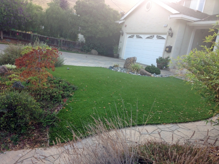 Artificial Turf Cost Clayton, California Design Ideas, Landscaping Ideas For Front Yard