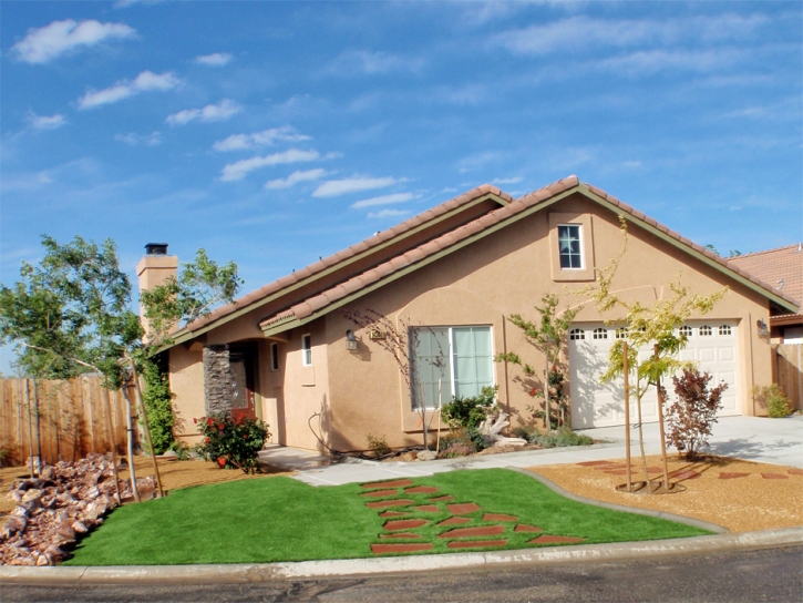 Artificial Turf Cost Healdsburg, California Rooftop, Front Yard Ideas