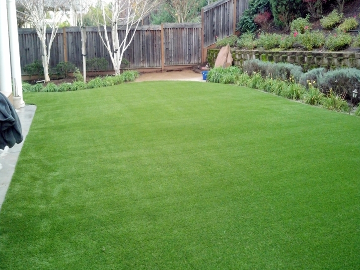 Artificial Turf Cost Keyes, California Gardeners, Backyard Makeover