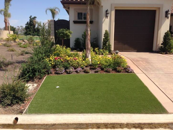 Artificial Turf Cost Orangevale, California Paver Patio, Front Yard Landscaping