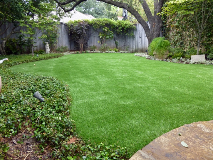 Artificial Turf Cost Ripon, California Landscape Rock, Backyard Design