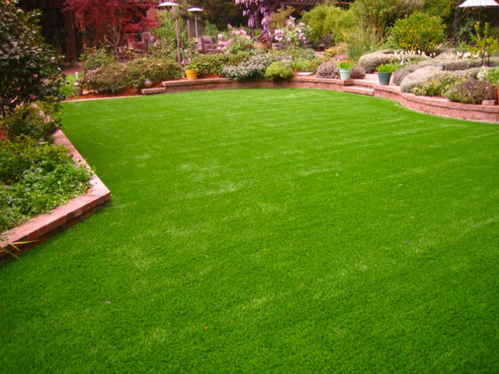 Artificial Turf Cost Soledad, California Lawn And Garden, Beautiful Backyards