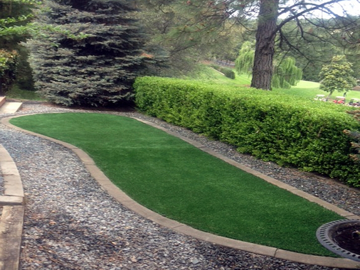 Artificial Turf Crockett, California Garden Ideas