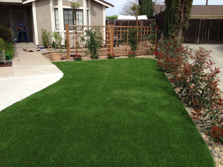 Artificial Turf Hollister, California Garden Ideas, Front Yard