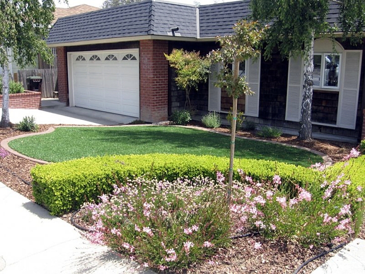 Artificial Turf Installation Amesti, California Lawn And Landscape, Front Yard Design