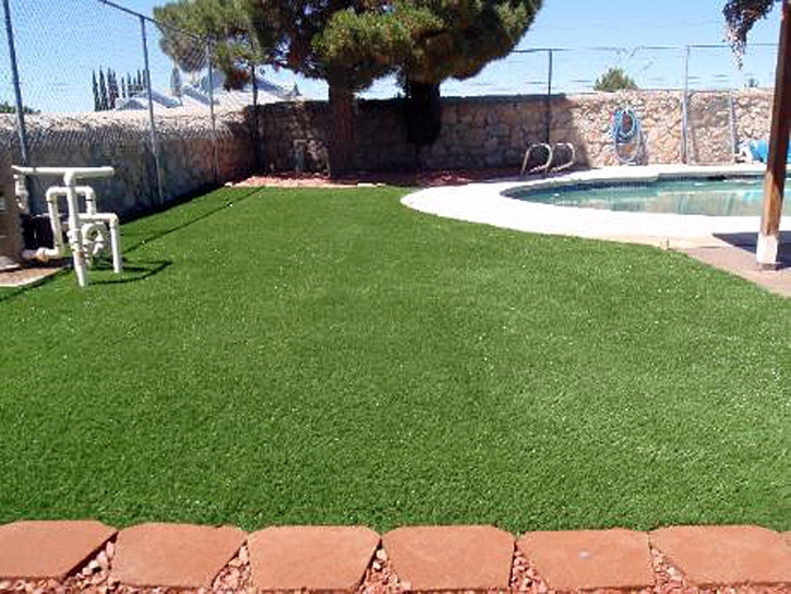 Artificial Turf Installation Byron, California Dog Park, Backyard Pool