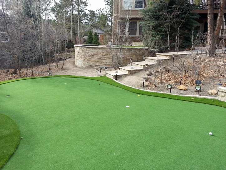 Artificial Turf Installation Capitola, California Backyard Putting Green, Backyard