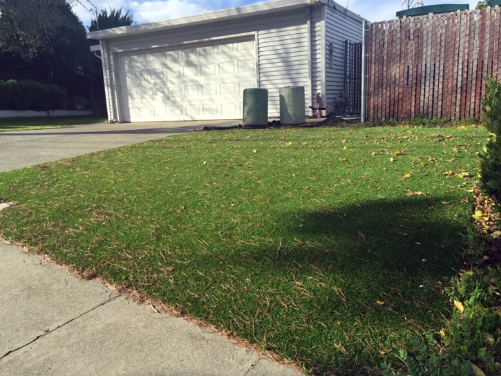 Artificial Turf Installation Watsonville, California Landscaping, Front Yard