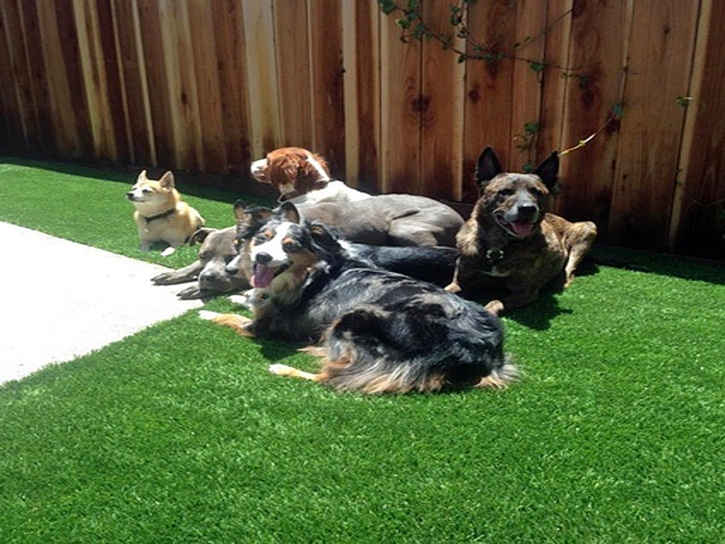 Artificial Turf Rancho Calaveras, California Paver Patio, Backyard Makeover