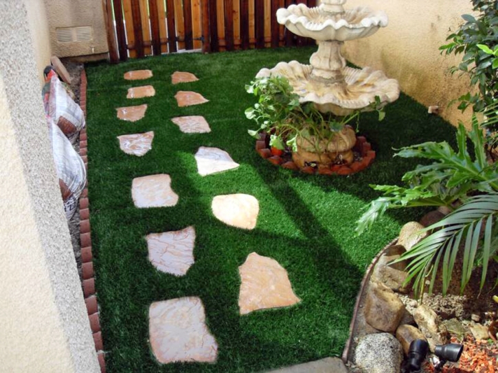 Artificial Turf Ripon, California City Landscape, Backyard Ideas