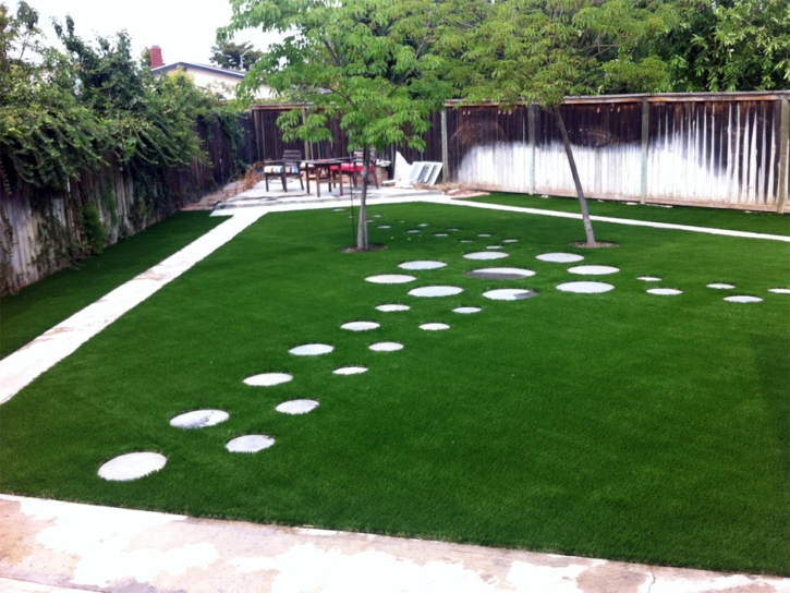 Artificial Turf Sunnyvale, California Gardeners, Backyard Designs