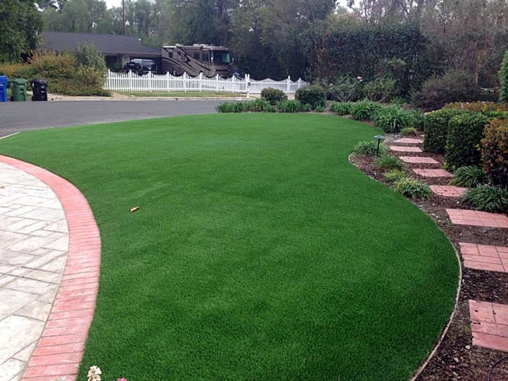 Artificial Turf West Modesto, California Lawn And Landscape, Front Yard Ideas