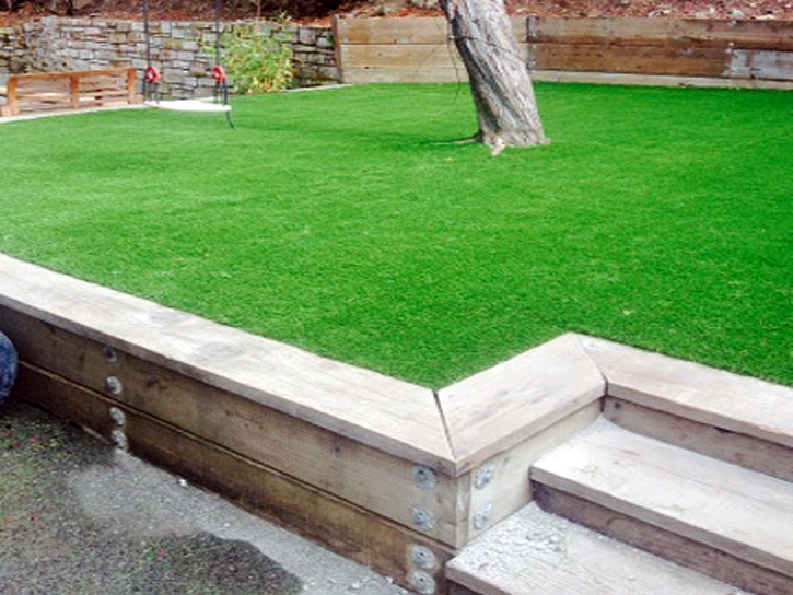 Best Artificial Grass Auburn Lake Trails, California Landscaping Business, Backyard Makeover